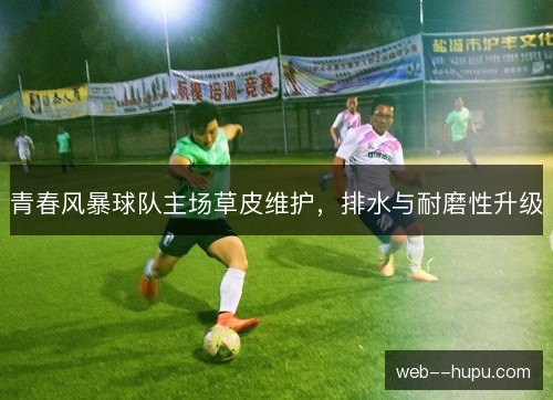 青春风暴球队主场草皮维护，排水与耐磨性升级